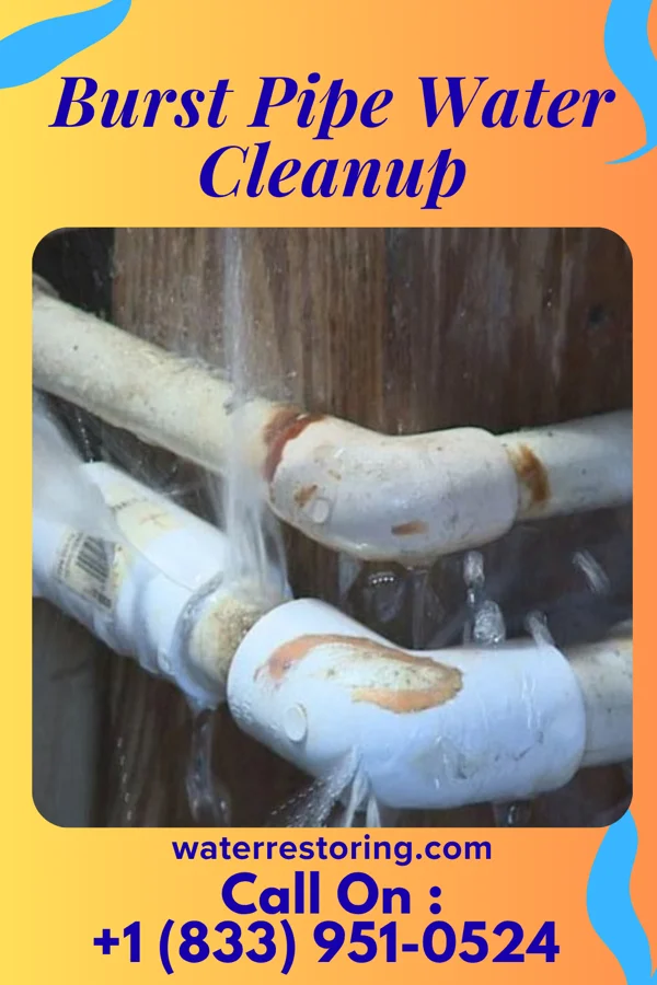 Burst Pipe Water Cleanup in Ashland, KY