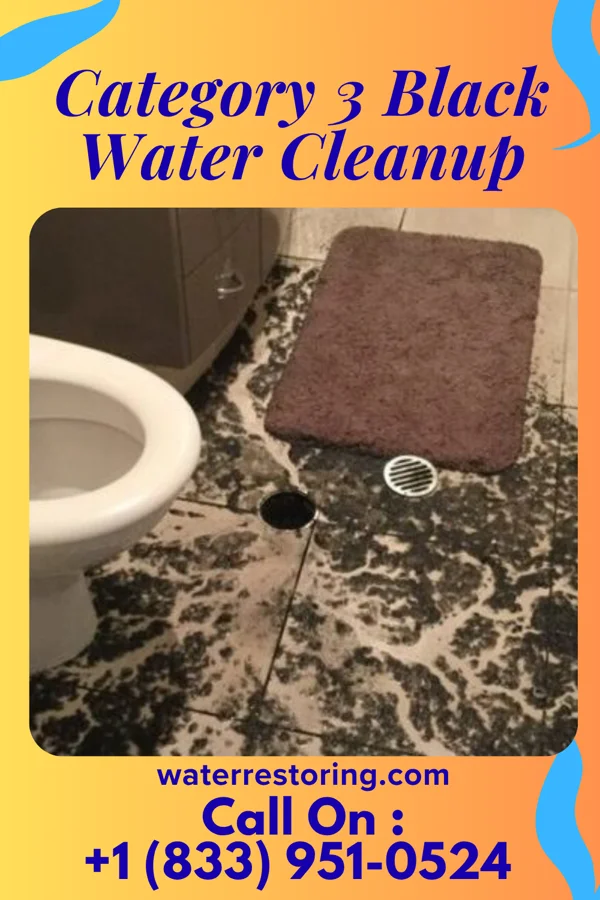 Category 3 Black Water Cleanup in Ashland, KY